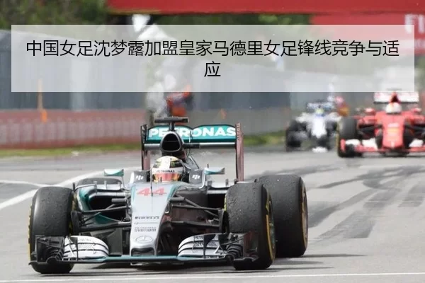 zhong-guo-nv-zu-shen-meng-lu-jia-meng-huang-jia-ma-de-li-nv-zu-feng-xian-jing-zheng-yu-shi-ying-1-184.jpg